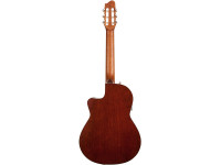 Godin Arena CW Clasica II Godin Arena CW Clasica II